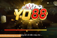 Yo88 Club – Đăng Ký Tặng Code 50K – Tải Yo88 APK, iOS, AnDroid