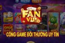 Hướng dẫn luật Poker Fanvip Club Mới nhất năm 2024